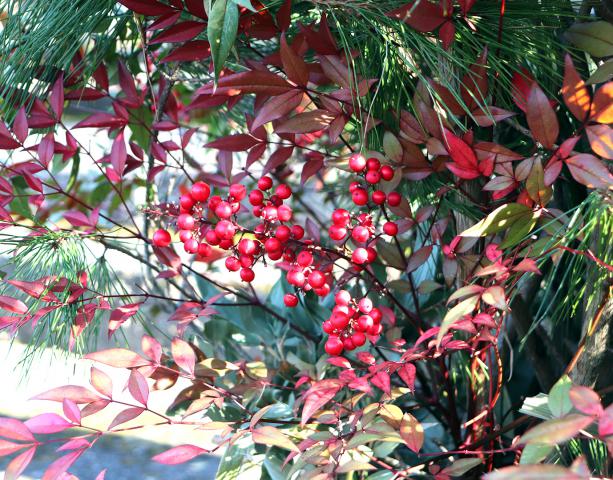 【天吹酒造】新春蔵開きの画像