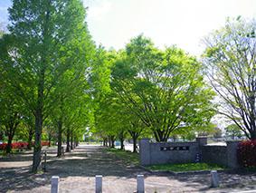 【みやき歩こう会】中原公園までひと歩きの画像