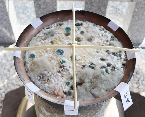 【千栗八幡宮】お粥試しの画像