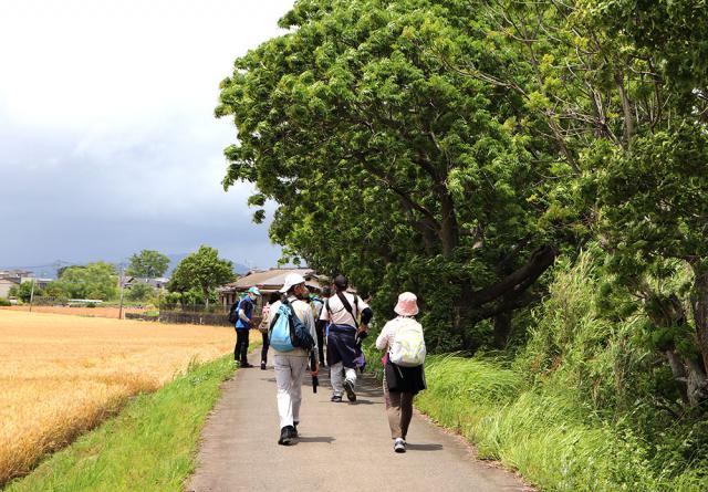 【みやき歩こう会】15周年大会のコースを歩くの画像