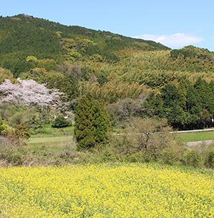 【NPO法人 山田の風】風景ウォッチングの画像