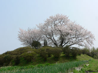 東尾大塚古墳