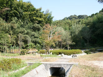 ホタル公園