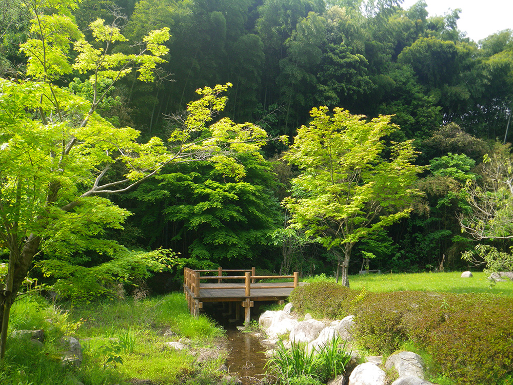 草の木、ホタルにて ホタル公園-みやきsanpo みやき町観光協会 佐賀県みやき町