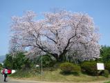 東尾大塚古墳