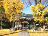 綾部神社の黄葉