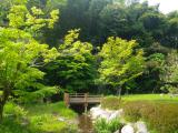 ホタル公園1