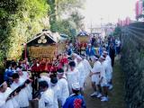 綾部神社御神幸1