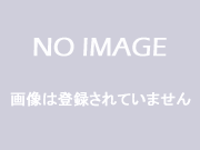 【みやき歩こう会】第11回唐津・虹ノ松原ツーデーウォークの画像
