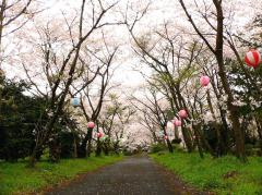 白坂公園 